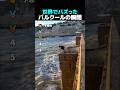 世界でバズったパルクールの瞬間TOP5
