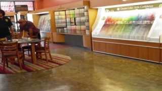 Catalina Paints-1