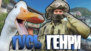 ГУСЬ ГЕНРИ ВЕРНУЛСЯ 🦆 ВЫПОЛНЯЮ НОВЫЕ И СЛОЖНЫЕ ЗАДАНИЯ ГУСЯ