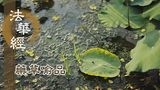 【靜思妙蓮華】法華經藥草喻品 - 修功立德 滋潤福利 - 20210702 第881集