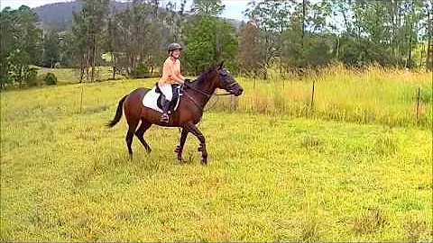 summmer riding