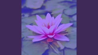 Simple Ambiance for Moisturizing Facials