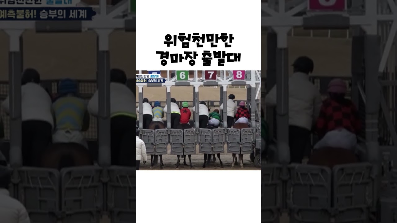 ㅜㅜ위험천만한 경마장 출발대