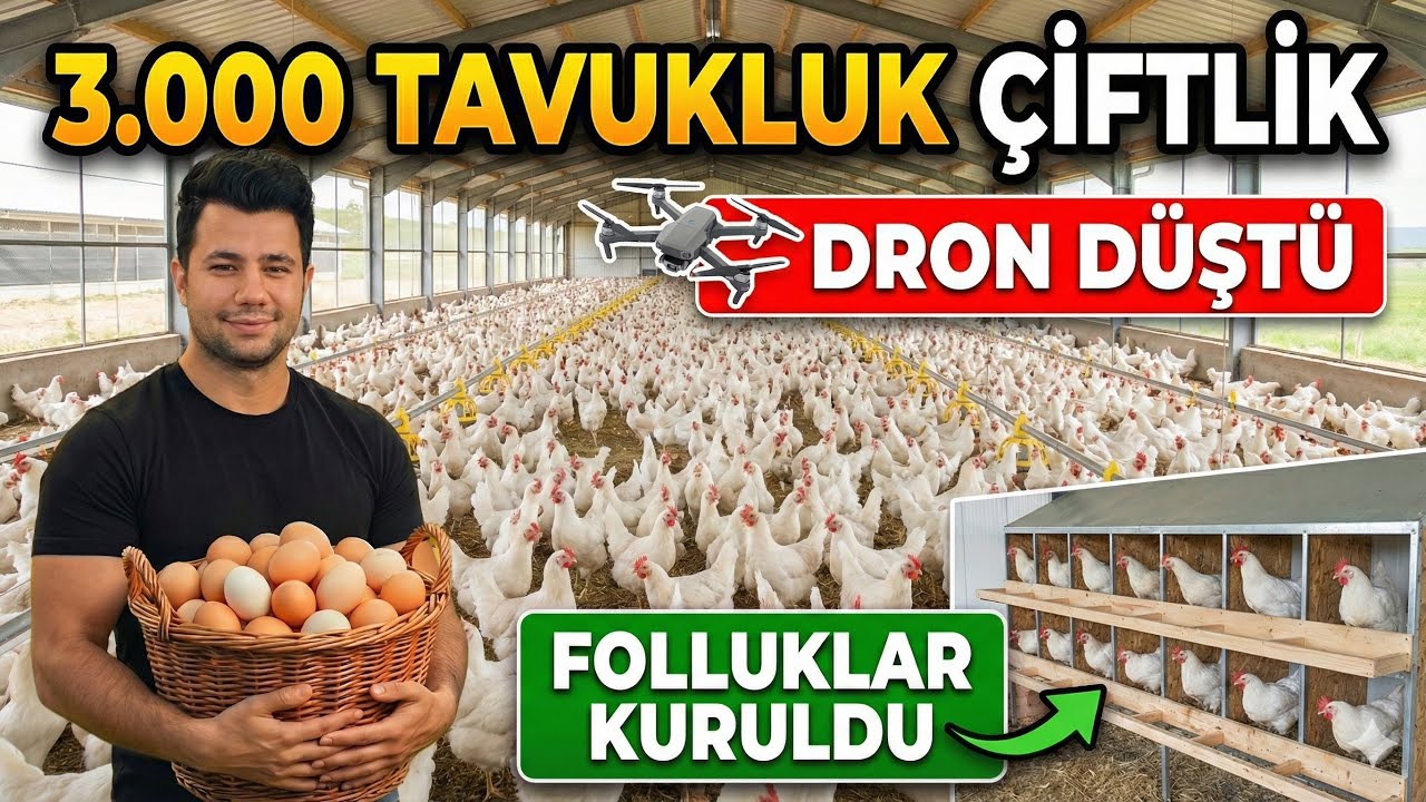 Folluklar Kuruldu, Otomatik Yemlikler Çalıştı, Dron Düştü! İlk Koli Yumurta Geldi! #gezentavuk #köy