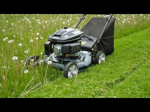 Video: Sugerencias para el cuidado del césped en primavera: aprenda a cuidar el césped en primavera