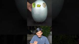 Guess What’s Inside ! Watermelon or Dinosaur Egg 🤔? || Unfiltered Sahur | #shortsfeed #youtubeindia