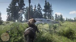 Red Dead Redemption 2 | Corruption Glitch Method | Tutorial PS4