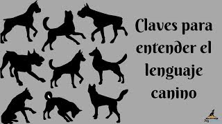 Claves para entender el lenguaje canino