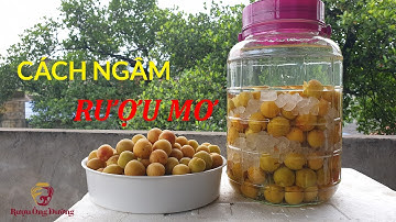 Cách Ngâm Rượu Mơ Tươi