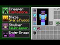 MINECRAFT MA CI SONO GLI EFFETTI HACKER DEI MOSTRI!