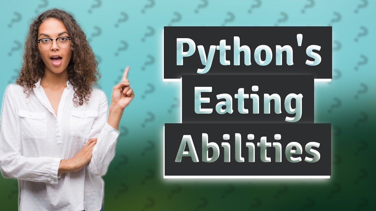 What's the biggest animal a python can eat? YouTube