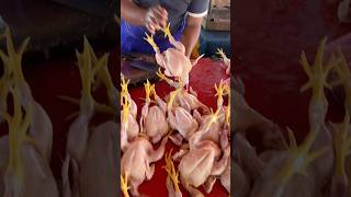 Cut grilled chicken, chicken cutting skills #cuttingskills #chicken #freshchicken #shorts #short