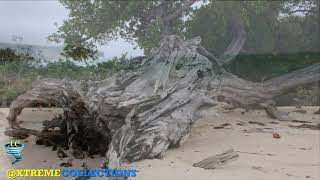 Guardalavaca Beach in Holguin, Cuba