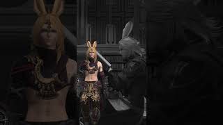 Missing piece  #ffxiv #gaming #missingpiece