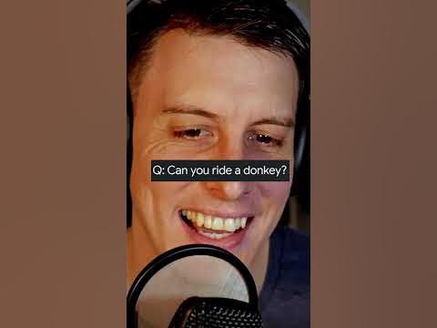 Can Humans Ride..? 🎢 Google Feudle - YouTube