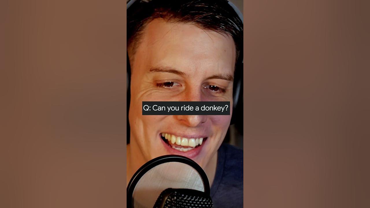 Can Humans Ride..? 🎢 Google Feudle - YouTube