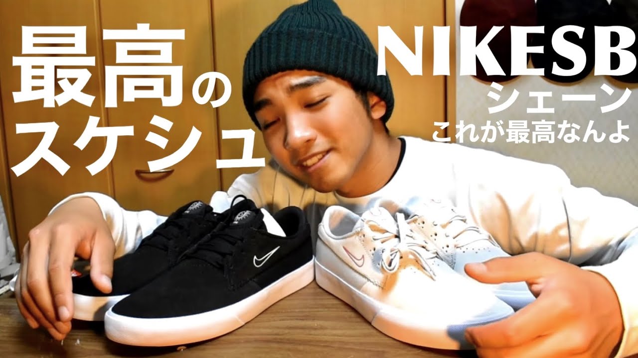 最高のスケシュー！スケボーのために作られたNIKESBシェーン 