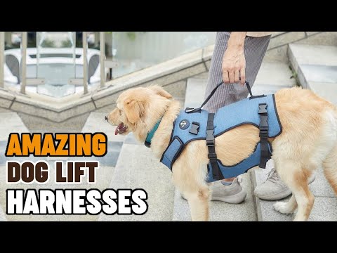 Dog Lift Harnesses : Most Popular Dog Lift Harnesses in Review