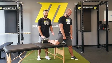 Hip Capsule Internal Rotation PAILs/RAILs