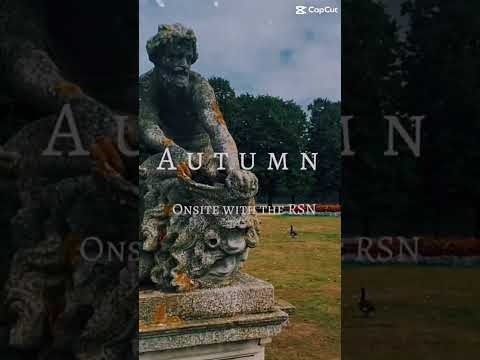 Autumn Onsite at