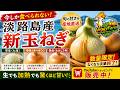【期間限定】淡路島産の新玉ねぎ、今シーズン分の予約販売を開始！