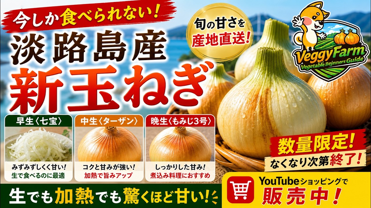 期間限定】淡路島産の新玉ねぎ、今シーズン分の予約販売を開始！ - YouTube