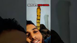 You won't BELIEVE how this guy ended up…SELFIE with a King Cobra💀#trollface#troll#edit#kingcobra