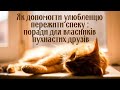 Як допомогти улюбленцю пережити спеку  Поради для власників пухнастих друзів