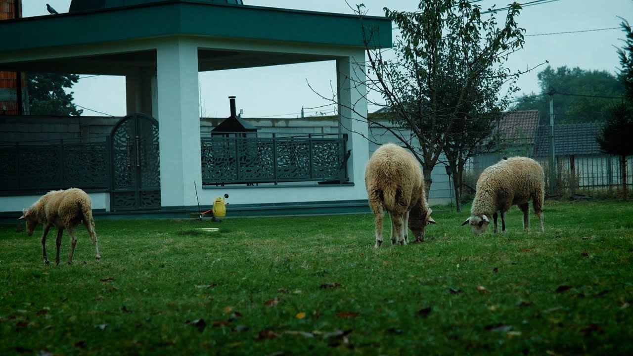 Histori Fshati - Skivjan