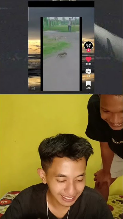 Humorku Hanya Sebatas ada Celeng 😭😂 #shorts #reaction #fyp #youtubeshorts
