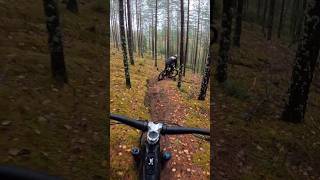 Steepest Trail Ever 😳 #mtb #shorts #viral #downhill #freeride #shortvideo #youtubeshorts #funny #fun