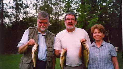 Ann Pulsifer's Life