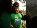 Bigfoot Sunrise Bookings Are Fully Blessed 🙏😂 #Bigfoot #FunnyShorts #YouTubeShorts #Sunrise