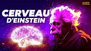 L'épopée délirante du CERVEAU d'Albert Einstein