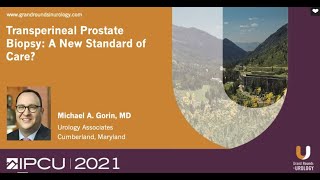 Transperineal Prostate Biopsy -- A New Standard of Care?