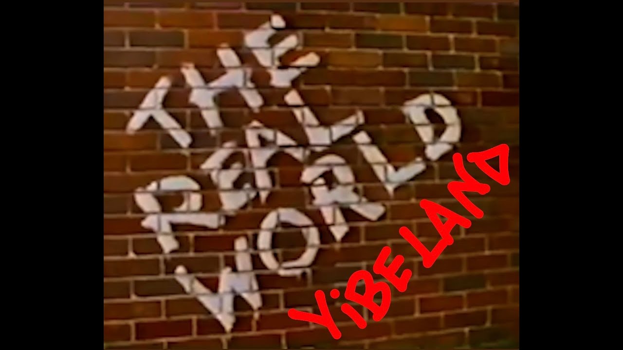 Vibeland Chronicles presents... Real World: Vibeland!