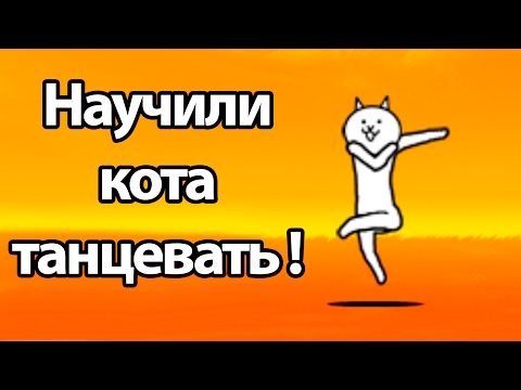 Видео: Научили кота танцевать ! ( Battle Cats )