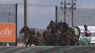 名馬目指し力走 北海道、ばんえい競馬