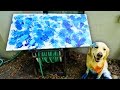 PUPPY PAW PAINTING! (Super Cooper Sunday #97)