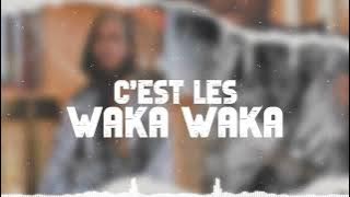 SECOUSSÉ D’AFRIQUE - BARARO (vidéo lyrics)