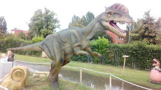 Video thumbnail of "Dino park Novi Sad"