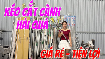 Cắt cành , hái quả trên cao siêu tiện lợi , an toàn , dễ dàng sử dụng dùng kéo cắt cánh trên cao !