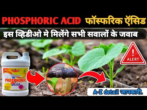Phosphoric Acid |फॉस्फरिक ऍसिड|   #PhosphoricAcid uses Dose|A-Z detail जानकारी @Indian Agri Point