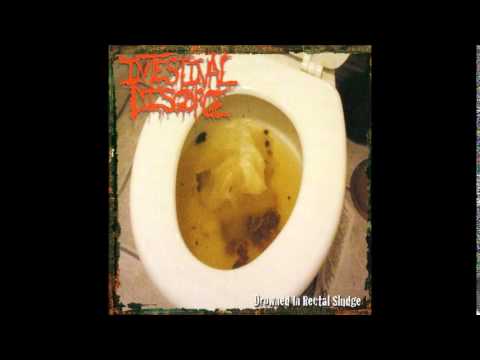 Intestinal Disgorge — Intestinal Disgorge - Colonic Eruption