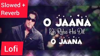 O Jaana | Slowed+Reverb (Lofi Mix) |Udit Narayan, Kamaal Khan, K.K., Alka Yagnik |  Tere Naam screenshot 2