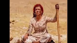 Komutan filmi | aslıhan güner hikayesinde gönül dağı şarkısını paylaştı