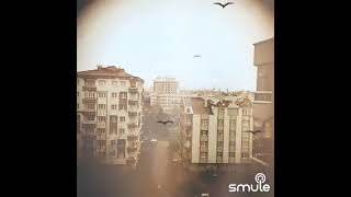 Gelmi̇ş Bahar Geçmi̇ş Yazlar