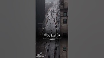 🌸 سكينة القلب مع آيات القرآن الكريم | تلاوات خاشعة للراحة النفسية والطمأنينة     #طمأنينة_النفس