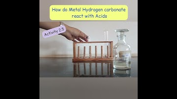 Activity 2.5|| How do Metal hydrogen carbonate react with Acids || Class 10