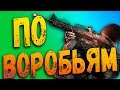 Стреляю по воробьям CALL OF DUTY WARZONE